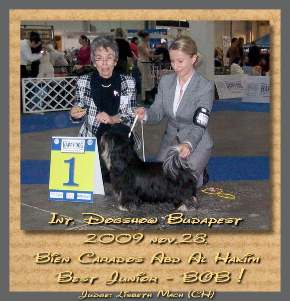 HakimBOB09nov HakimBOB09nov