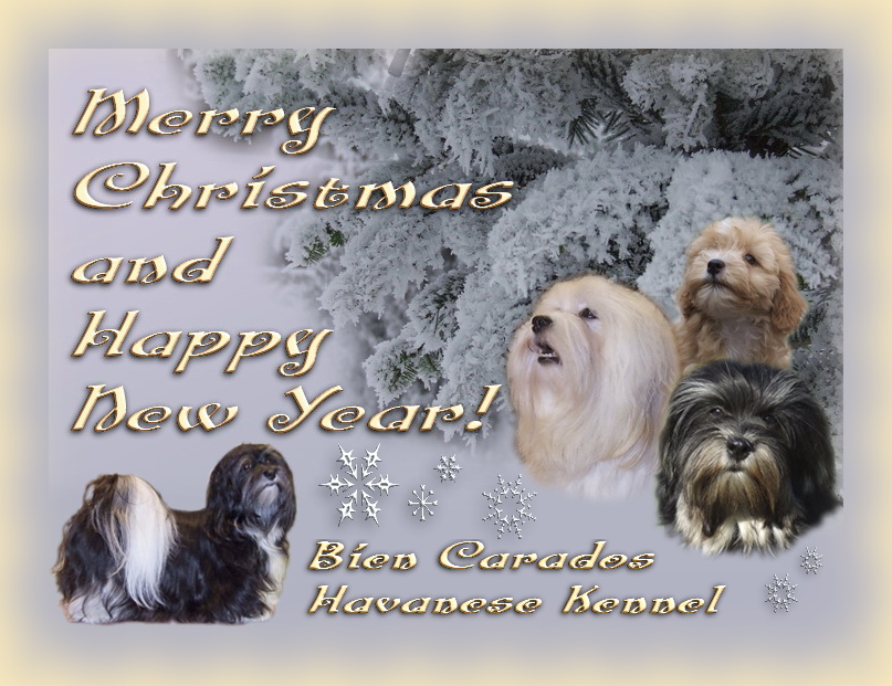 2009Christmascard 2009Christmascard